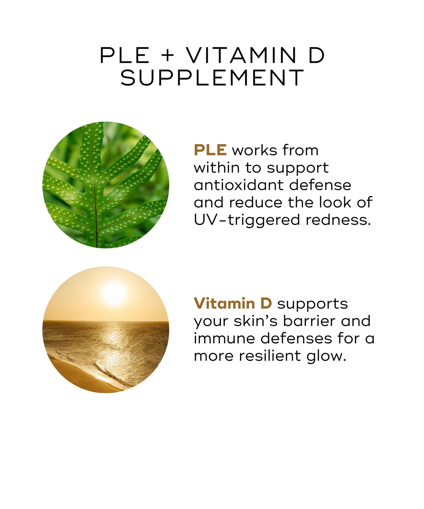 Inside Out Suncare Duo