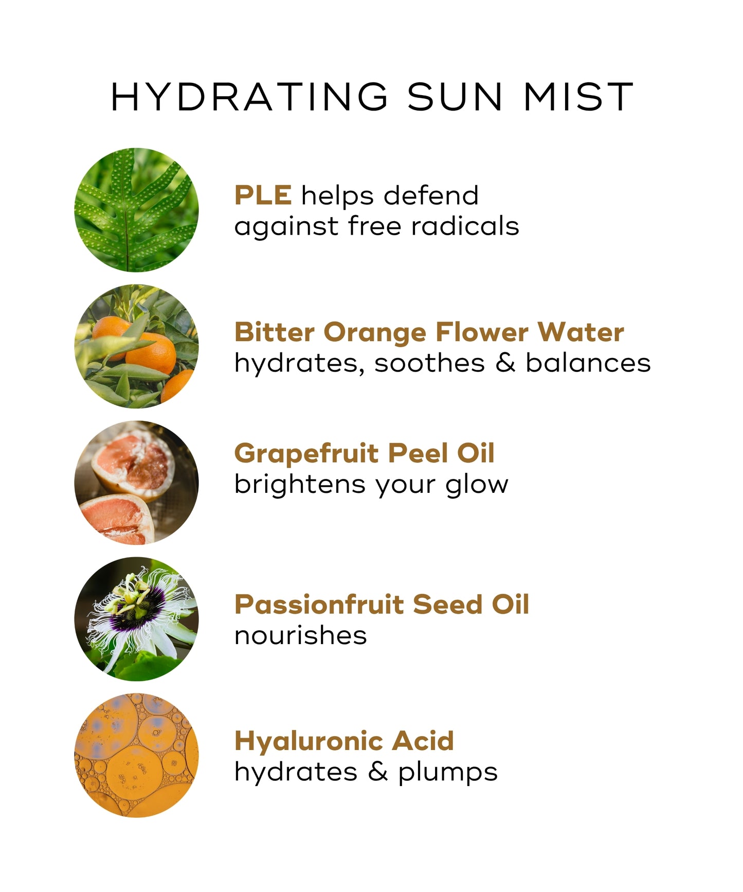 Inside Out Suncare Duo